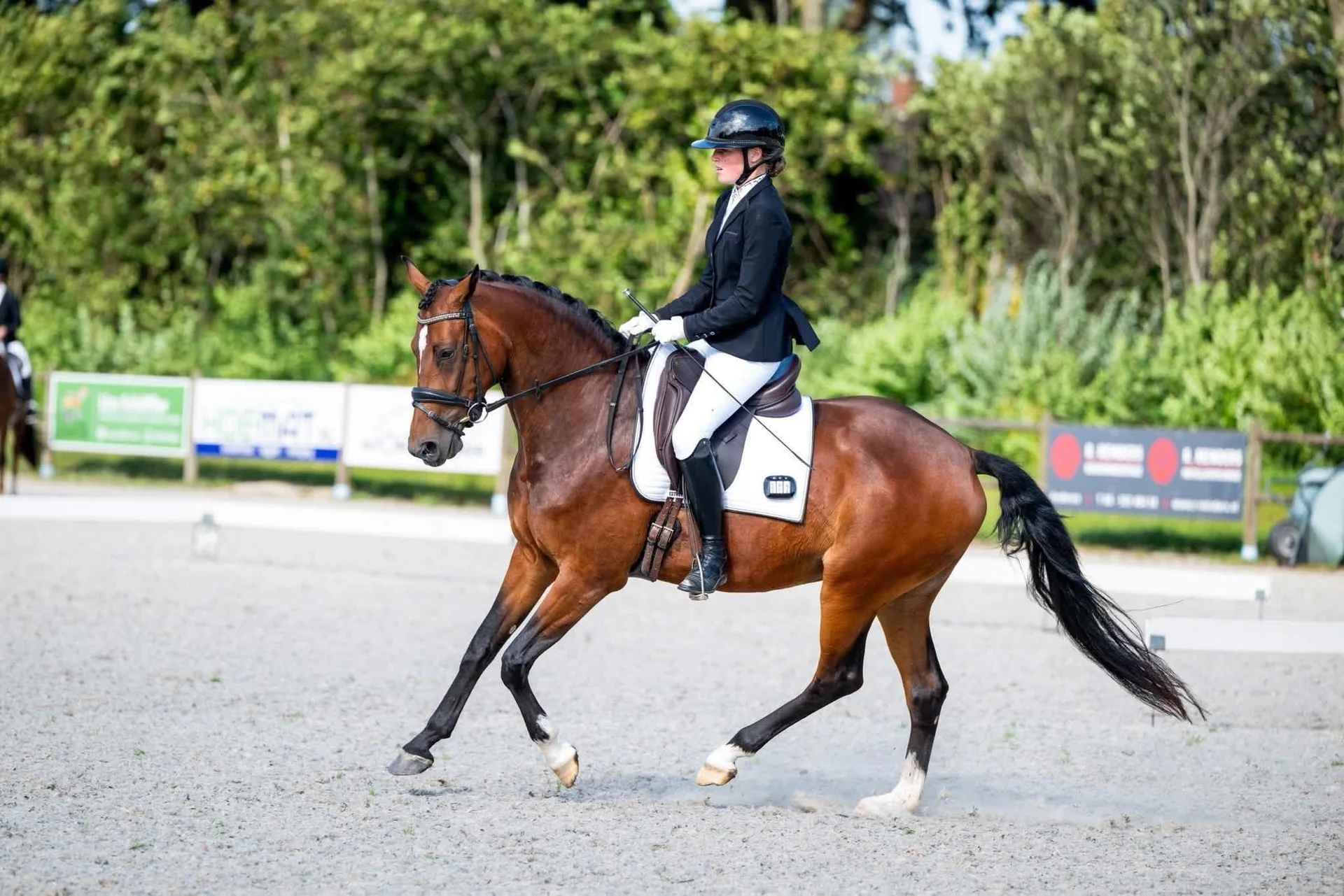 Presley van de Liekehoeve in beweging met Linde Bos